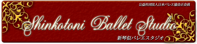 新琴似バレエスタジオ